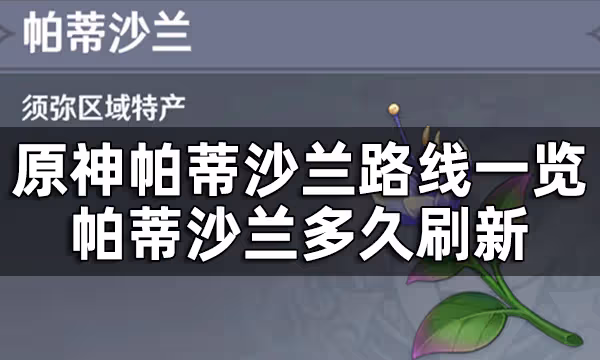 原神帕蒂沙蘭路線一覽 帕蒂沙蘭多久刷新