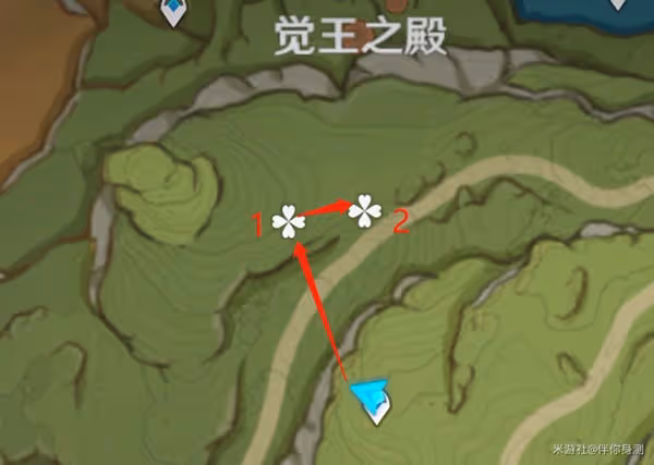 《原神》妮露突破材料帕蒂莎蘭採集攻略