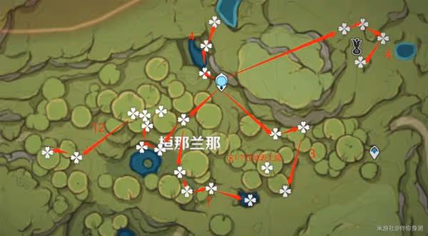《原神》妮露突破材料帕蒂莎蘭採集攻略
