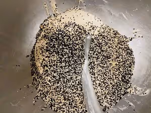 波蘭種的芝麻小法棍也太好吃了吧！！！
