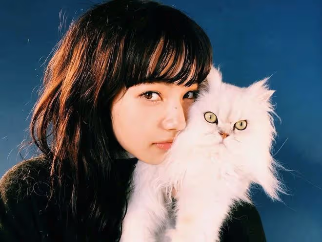 小松菜奈高級臉,魅力四射,那麼他的人生經歷會是怎樣的呢