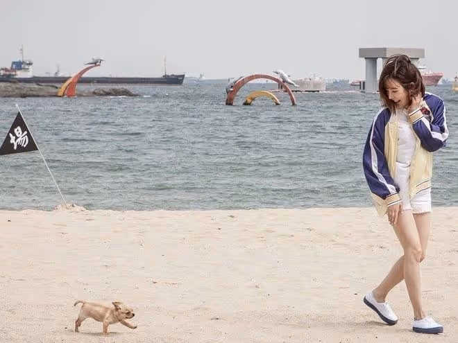 從sunny到李順圭,出道歷經波折,終成人人羨慕的少女時代