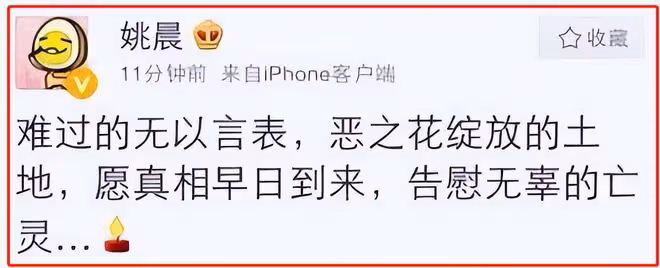 爆紅、被罵、自薦枕席、婚內出軌，姚晨成名背後的故事，真不簡單