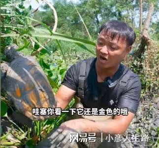 大表哥回歸本心，被網友吐槽100元包塘打發討飯的，知情者曝真相