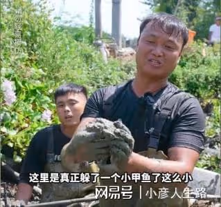 大表哥回歸本心，被網友吐槽100元包塘打發討飯的，知情者曝真相