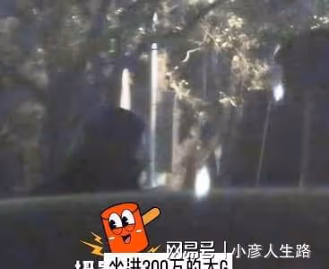王寶強帶女友馮清聚餐,戀愛四年感情穩定,網友祝福不斷