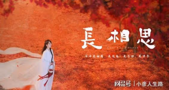 太有排面!《長相思》開啟招商,楊紫成主創核心賣點