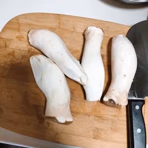 燒烤風味的干煸手撕杏鮑菇