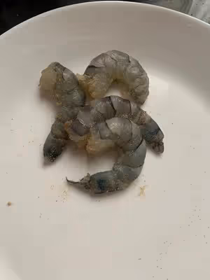 無麵粉大阪燒