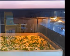 蔥香肉鬆麵包卷｜9⃣️0⃣️後小時候的味道