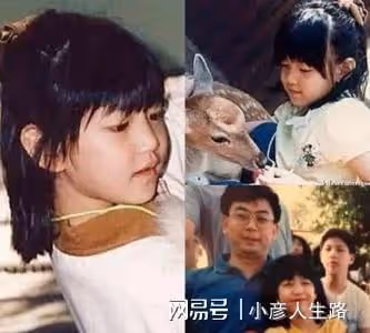 「風流賢妻」陳妍希:私交混亂表里不一,婚後靠賢妻良母形象洗白