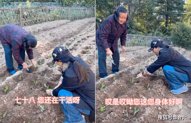 60歲吳瓊回老家干農活 蹲菜地里用手扒泥土 ....