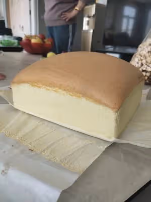 綿軟濕潤的古早蛋糕💕，抖臀duangduang~自製10寸方模（燙麵水浴）