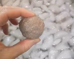 慢慢調整的牛肉丸