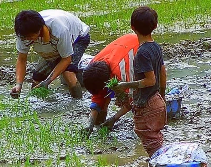5歲女孩扛滿筐野菜下山回家，步態穩重早已輕車熟路，滿臉泥土卻掩蓋不住笑容：懂事的讓人心疼