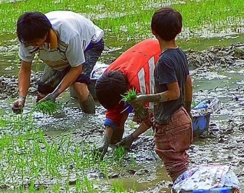 5歲女孩扛滿筐野菜下山回家，步態穩重早已輕車熟路，滿臉泥土卻掩蓋不住笑容：懂事的讓人心疼