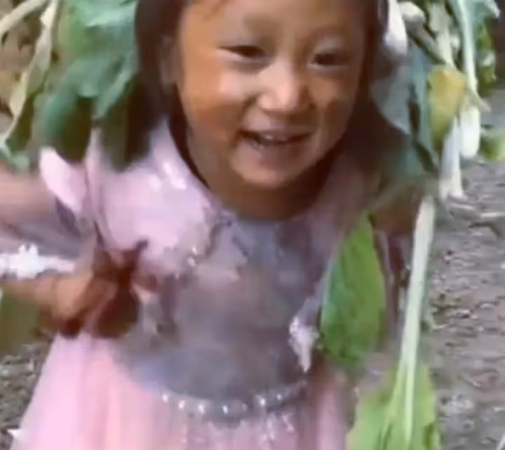 5歲女孩扛滿筐野菜下山回家，步態穩重早已輕車熟路，滿臉泥土卻掩蓋不住笑容：懂事的讓人心疼