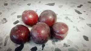 秋季德式烘焙 【李子蛋糕】Pflaumenkuchen mit Streuseln