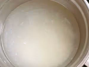 菠蘿蜜糯米飯