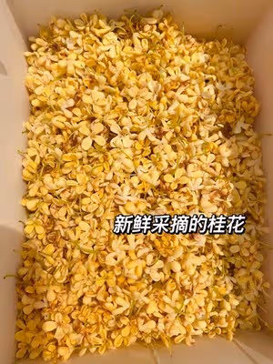 奶奶教我做的桂花蜜 滿屋飄香 一次就成功了