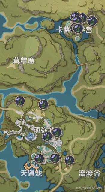 《原神》妮露強度如何