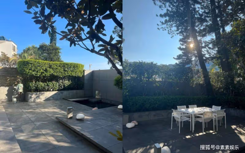 劉嘉玲豪宅內養超大烏龜,每月保養費用昂貴,生活環境優雅富足