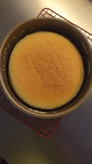 優格酸奶蛋糕