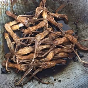 醬香鴨舌