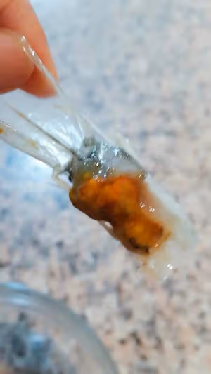 獨家秘制蝦腦醬(蝦頭的妙用)