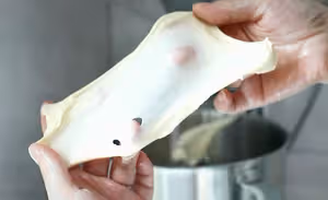 蒜香火腿（熱狗）腸麵包