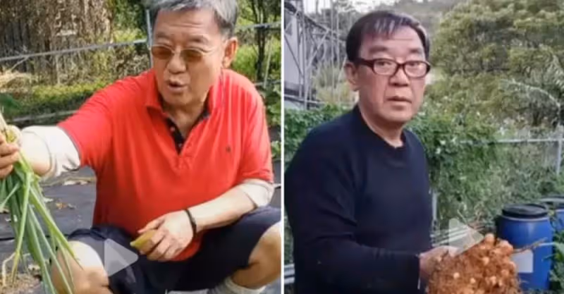 李立群「山里」的生活曝光，空氣清新涼爽，與小貓為伴，每天悠閑自在，網羨慕：夢想中的生活
