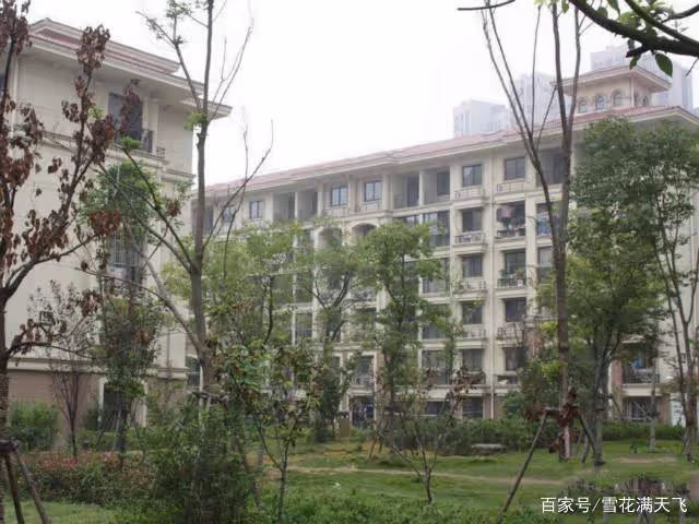 「兒媳，你住我女兒的房子，就該幫她還房貸」「媽，我們租房住」