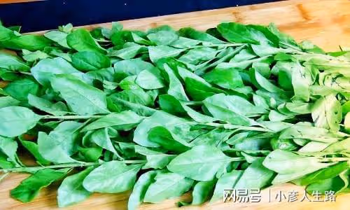 我的閨蜜身高172,在深圳開店,36歲單身,決定以後領養一個女孩