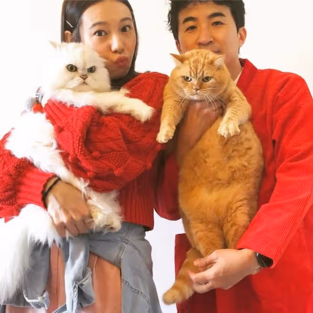 48歲男星承認秘密離婚5年!6年婚姻歷經磨難,直言復合等下輩子