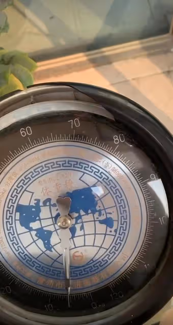 250斤女網紅肥肥喜當媽!21歲疑未婚懷雙胞胎,男方身份撲朔迷離