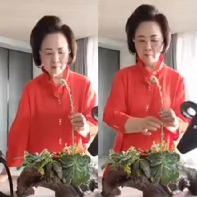 84歲瓊瑤罕曬新家日常！一頭濃密黑髮氣色紅潤，發文否認失智傳聞