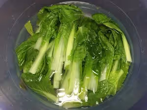 扇貝柱燉小白菜