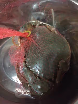 青蟹米麵