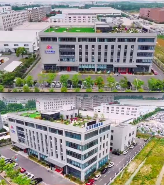 網紅小楊哥成當地首富，短短兩年創頂級公司，工作大樓堪比商場！