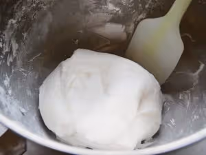 水晶魚翅餃