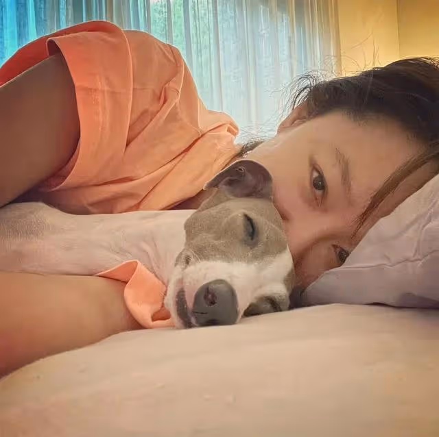42歲孔孝真的婚前豪宅火了,裝修簡約質樸,太接地氣了