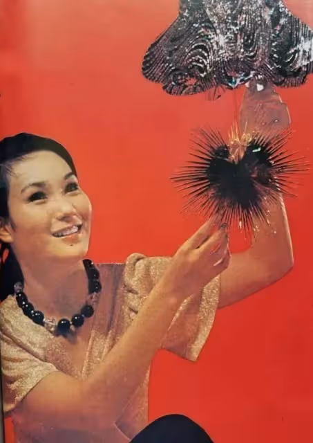 憑《大軍閥》一戰成名，因拍風月片慘遭丈夫拋棄，胡錦的一生真坎坷！