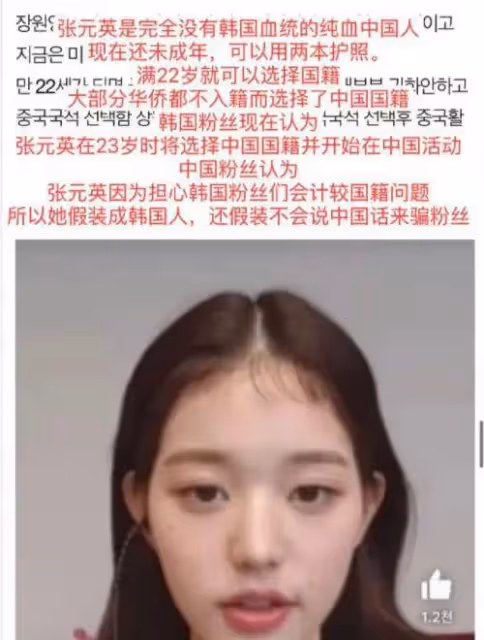 她是如何做到同時得罪中韓兩國網友的....