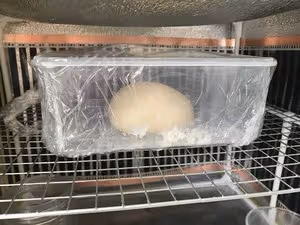 鬆軟拉絲的三奶排包（椰漿/鮮牛奶/酸奶老麵包）