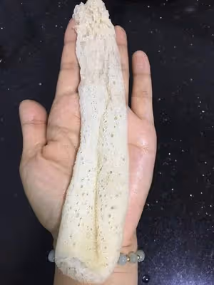 竹蓀蟲草花雞湯