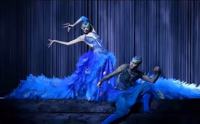 國家一級演員王迪因抑鬱症去世,曾登春晚與楊麗萍合作,年僅44歲