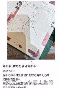 網友三里屯偶遇劉亦菲，購買自己代言的二手包送朋友，被贊好溫柔