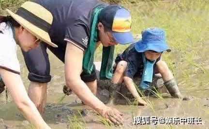 霍震霆說兒媳郭晶晶:溫柔是給外人看的,在家不給自己面子