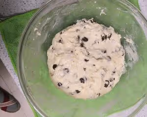普通麵粉做無糖少油不用手揉的提子麵包