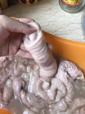 如何處理生肥腸